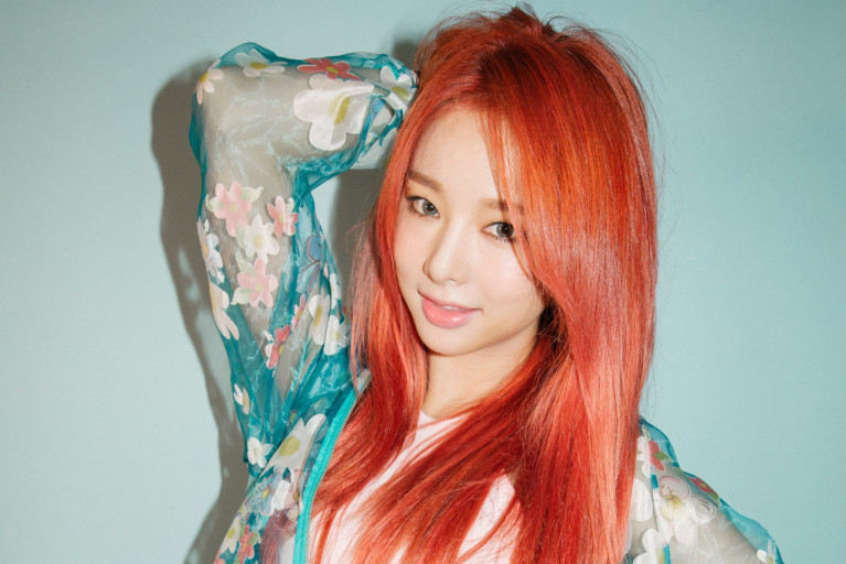 솔지